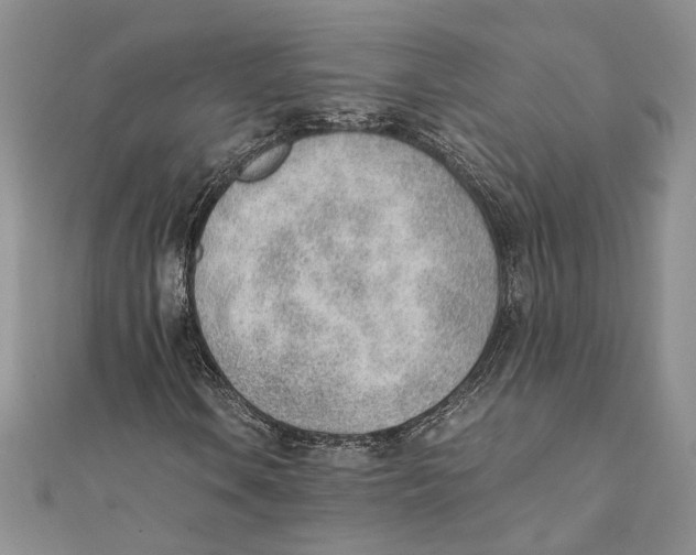X0000111391106200908071250