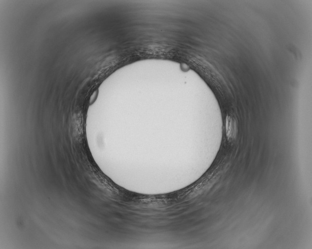 X0000111391107200908071250