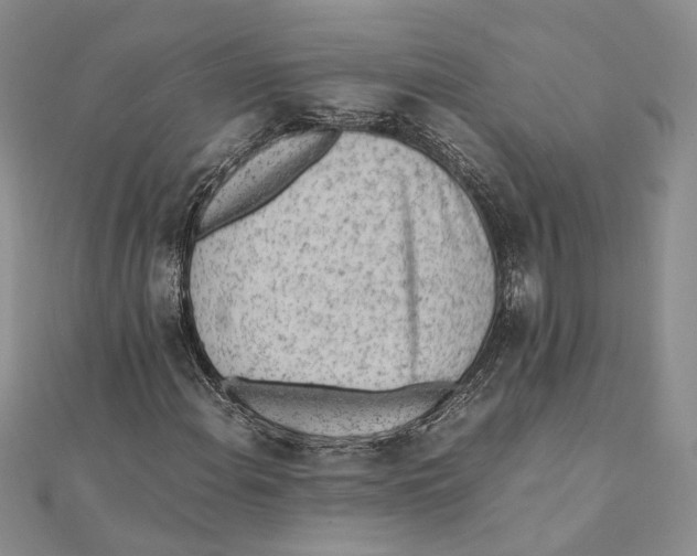 X0000111391108200908071250