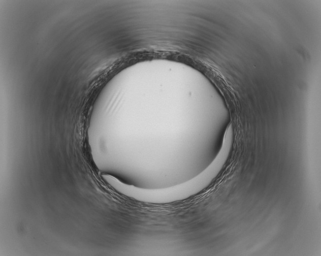 X0000111391110200908071250