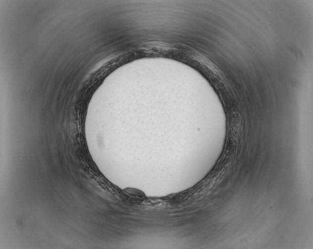 X0000111391112200908071250