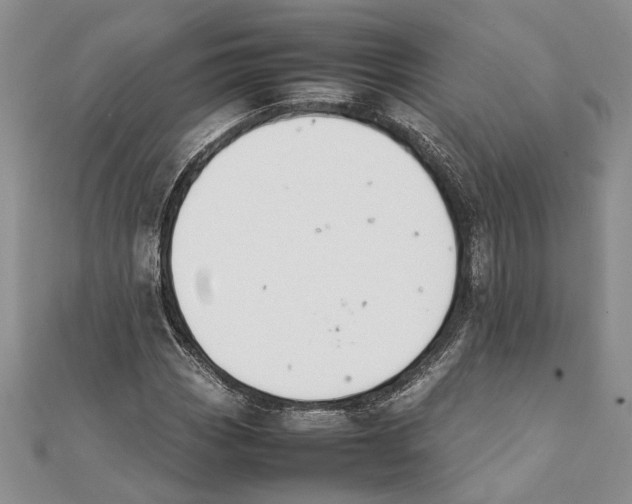 X0000111391113200908071250