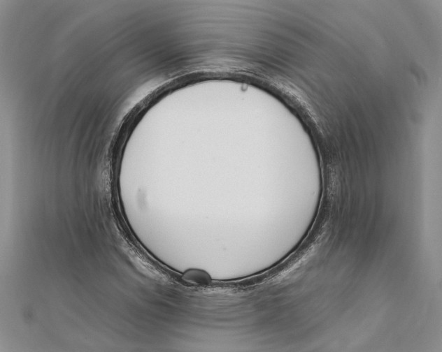 X0000111391114200908071250