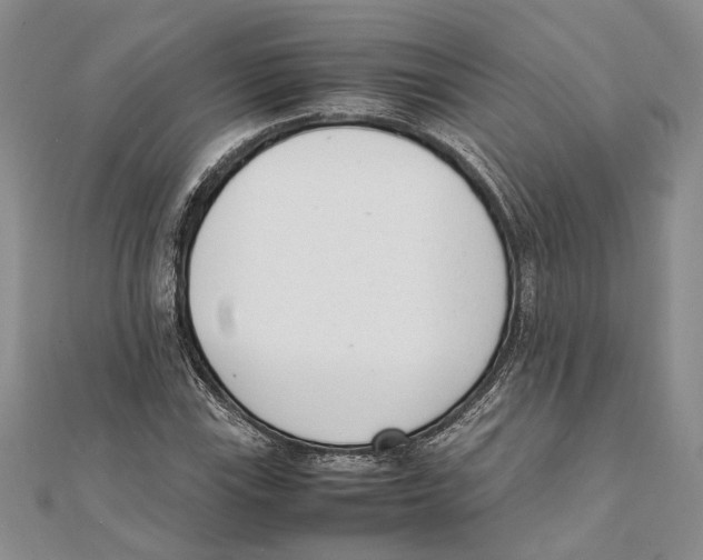 X0000111391115200908071250