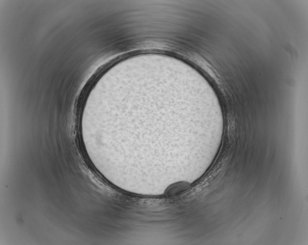 X0000111391116200908071250