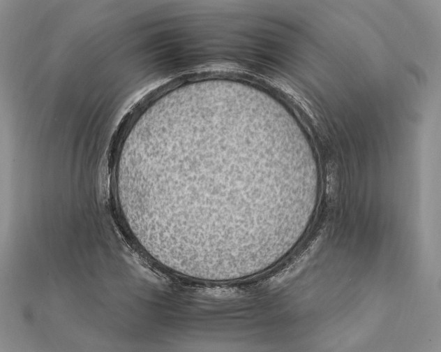 X0000111391117200908071250