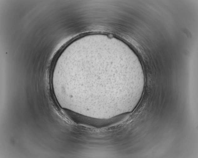 X0000111391120200908071250