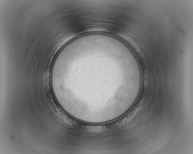 X0000111391121200908071250