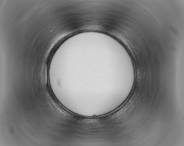 X0000111391123200908071250