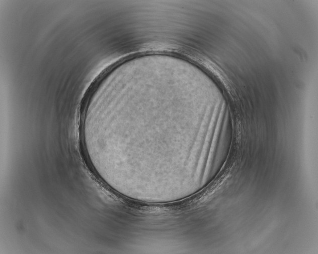 X0000111391124200908071250