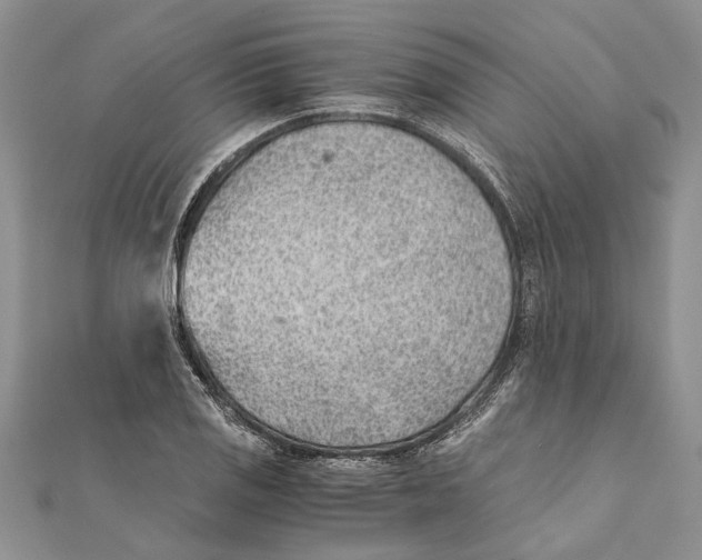 X0000111391125200908071250