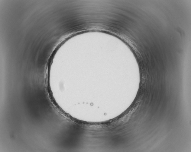 X0000111391126200908071250