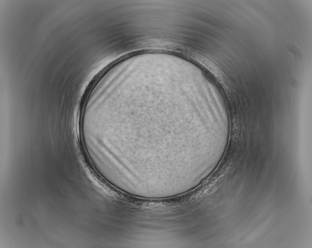 X0000111391128200908071250