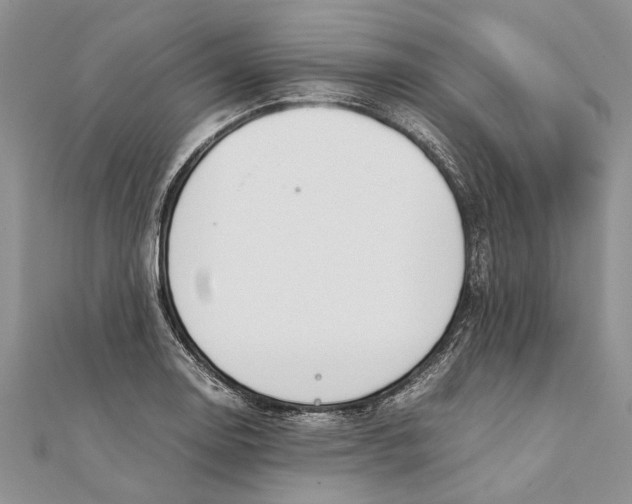 X0000111391130200908071250