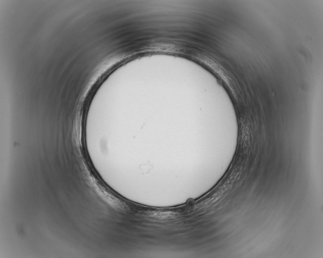 X0000111391131200908071250