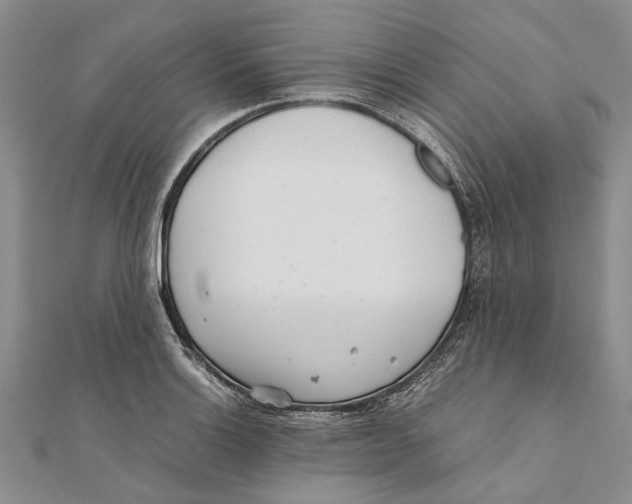X0000111391132200908071250