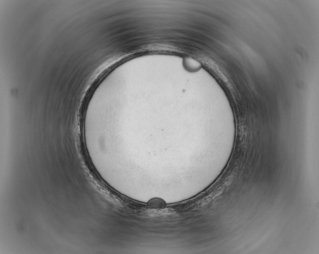 X0000111391133200908071250