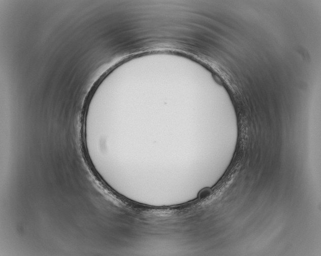 X0000111391134200908071250