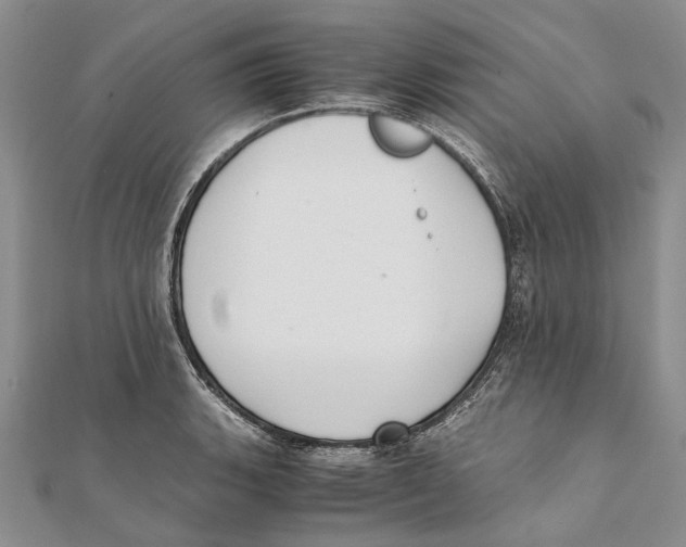 X0000111391135200908071250