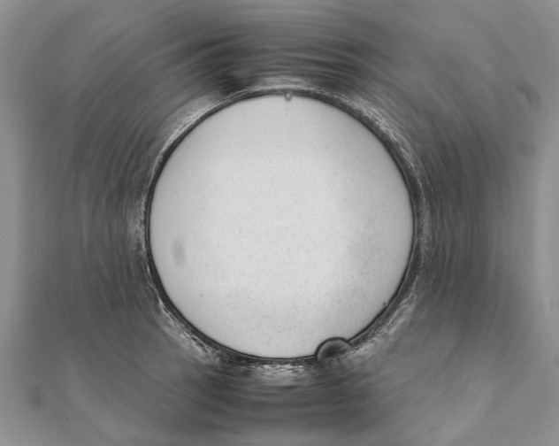 X0000111391137200908071250
