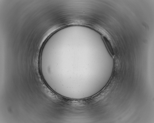 X0000111391138200908071250