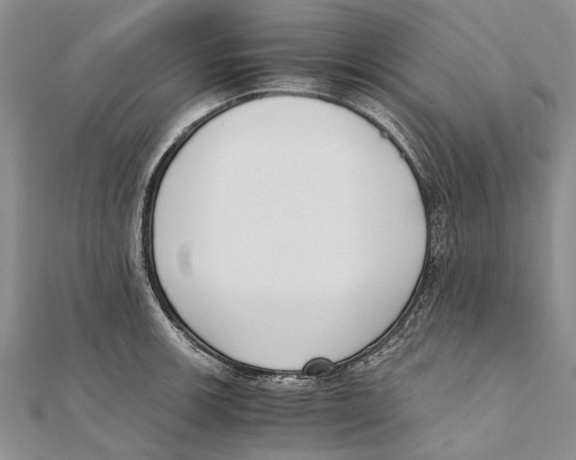 X0000111391139200908071250