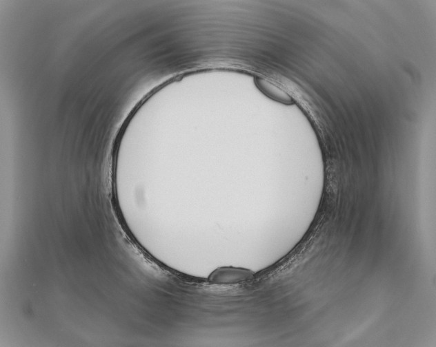 X0000111391140200908071250