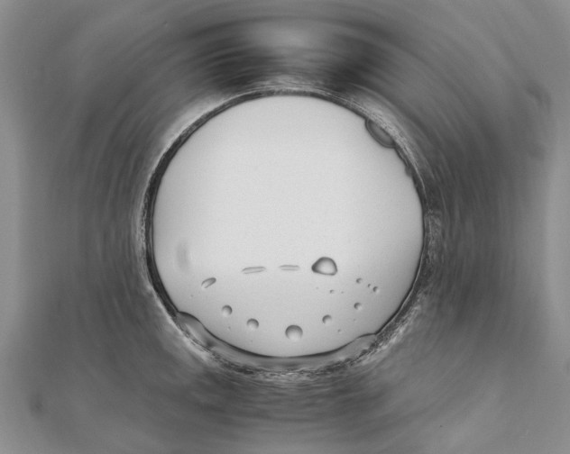 X0000111391141200908071250