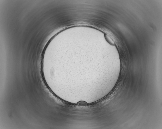 X0000111391142200908071250