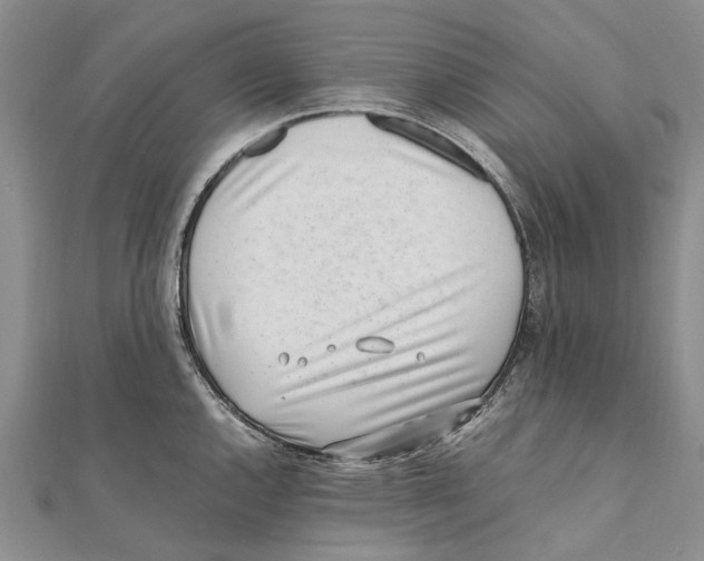 X0000111391144200908071250
