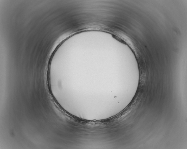 X0000111391146200908071250