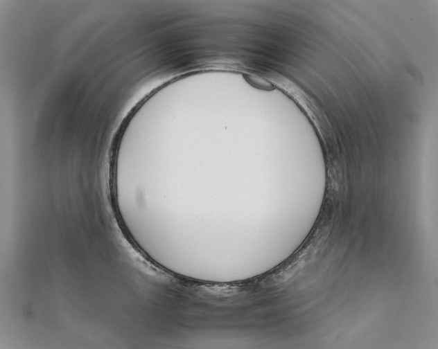 X0000111391147200908071250