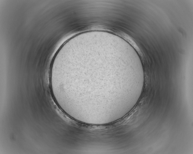 X0000111391148200908071250