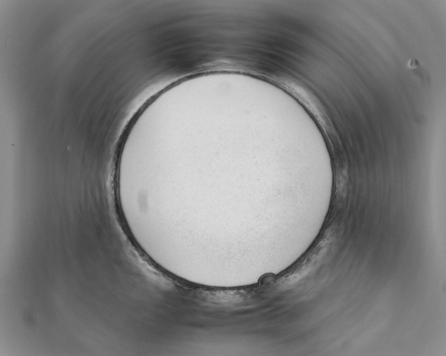 X0000111391149200908071250