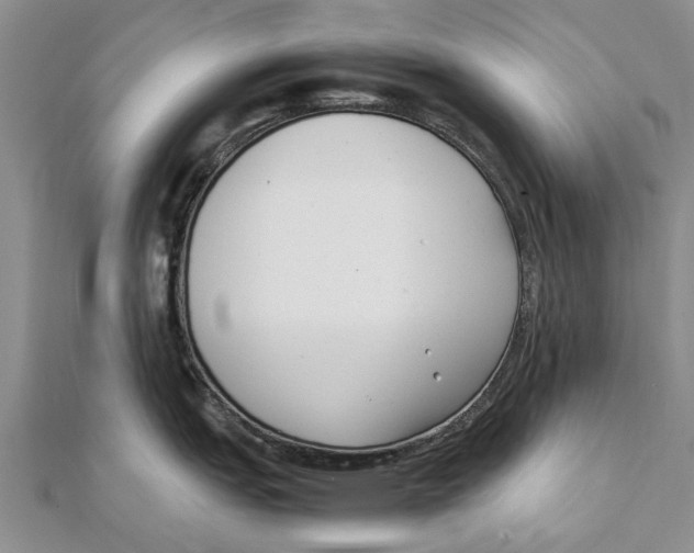 X0000111391151200908071250