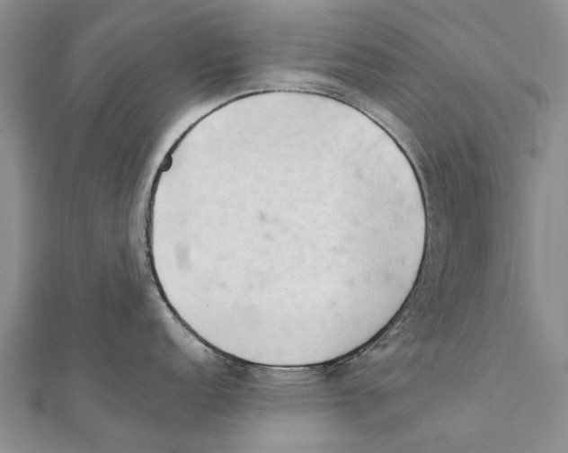 X0000111391152200908071250