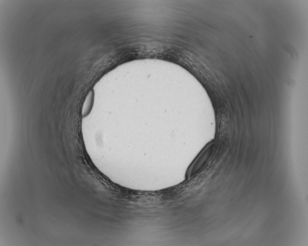 X0000111391153200908071250
