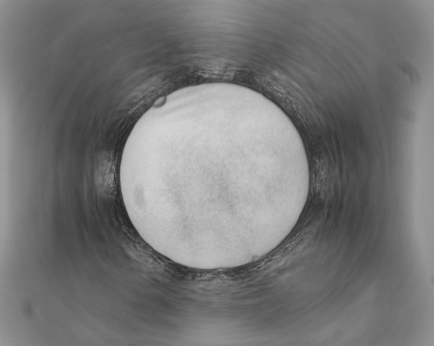 X0000111391154200908071250