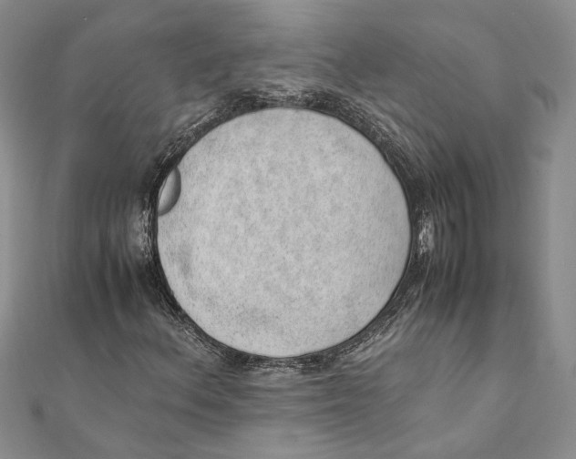 X0000111391156200908071249