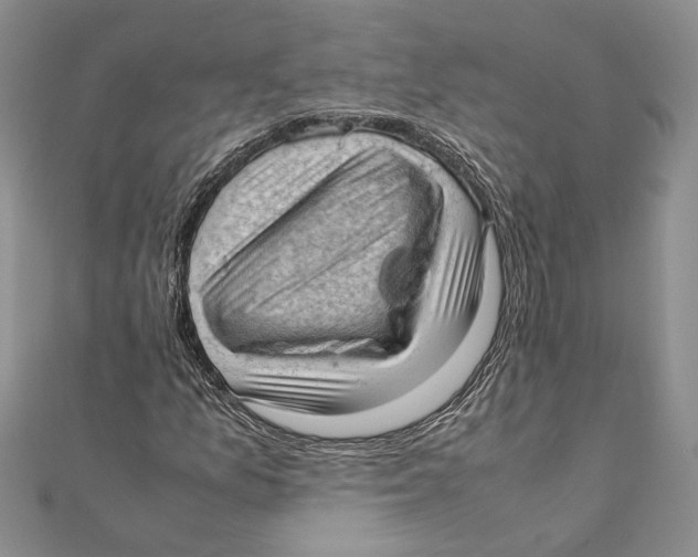 X0000111391157200908071249