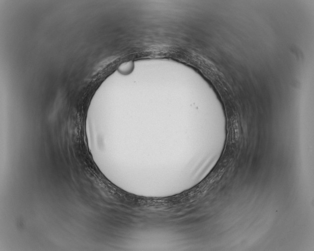 X0000111391158200908071249