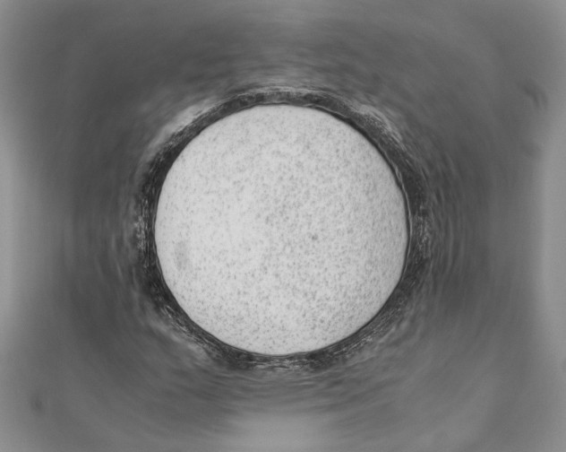 X0000111391159200908071249