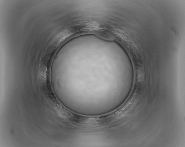 X0000111391161200908071249