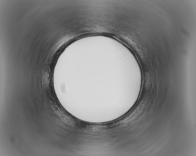 X0000111391163200908071249