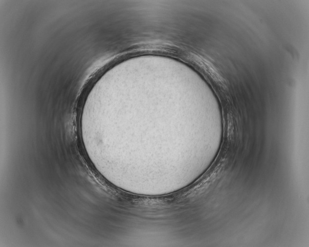 X0000111391164200908071249