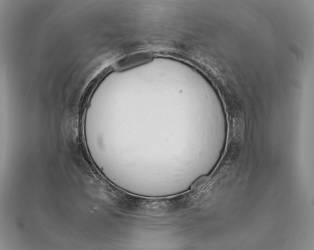 X0000111391165200908071249