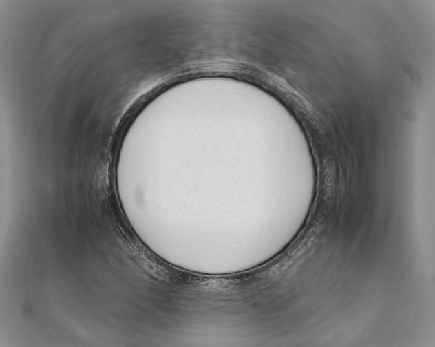 X0000111391166200908071249