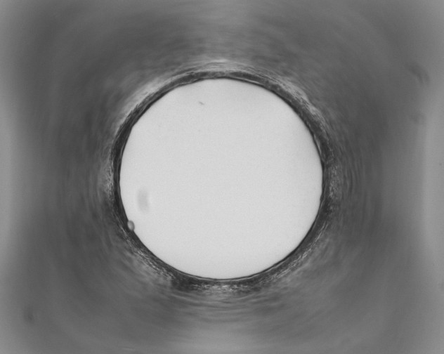 X0000111391167200908071249