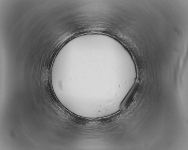 X0000111391169200908071249