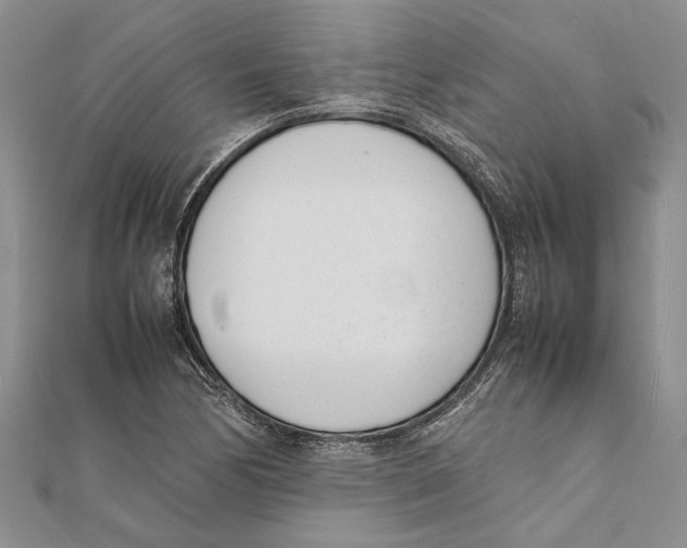 X0000111391170200908071249